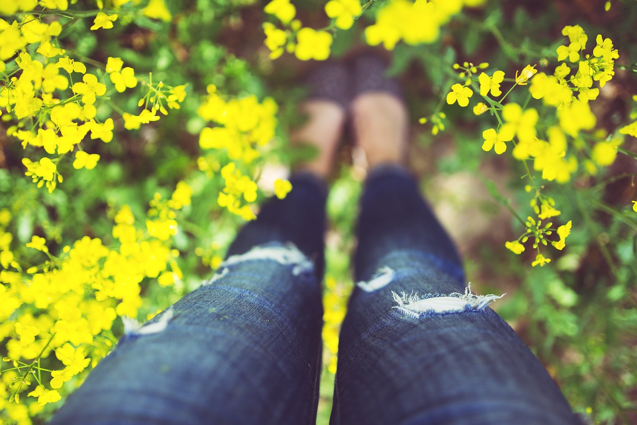 legs woman girl free photo