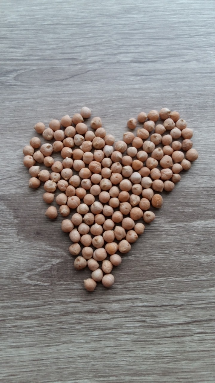 legume bless you chickpea free photo