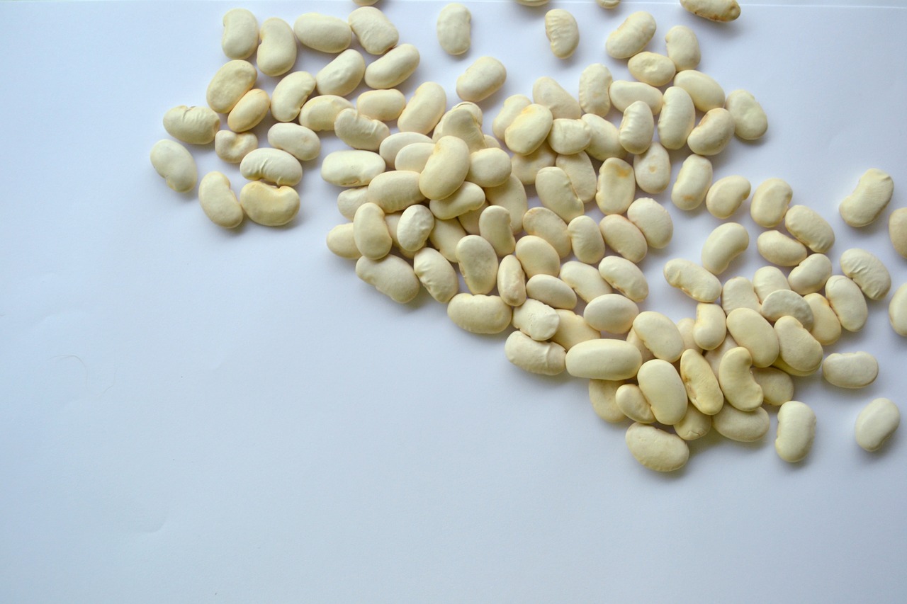 legumes  beans  dry free photo