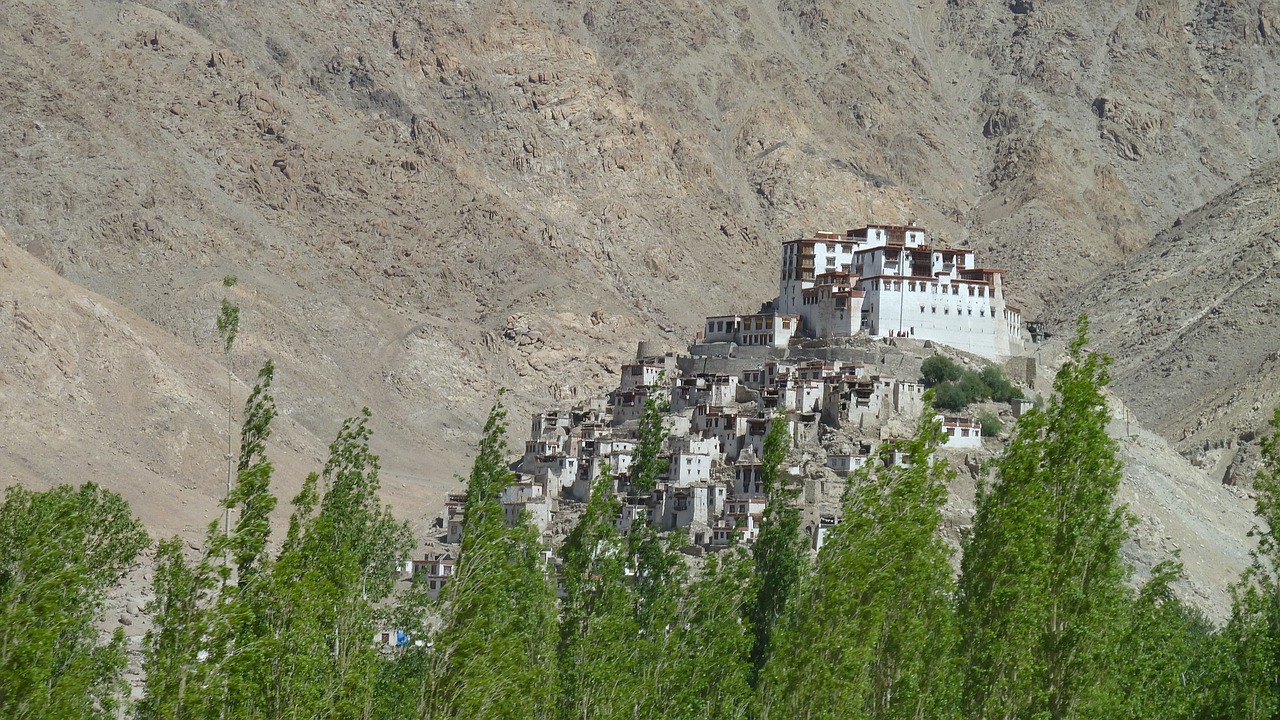 leh india monastery free photo