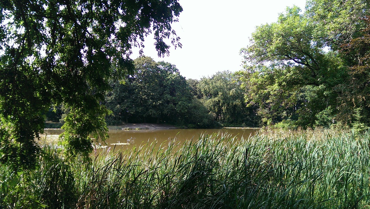 leipzig pond germany free photo