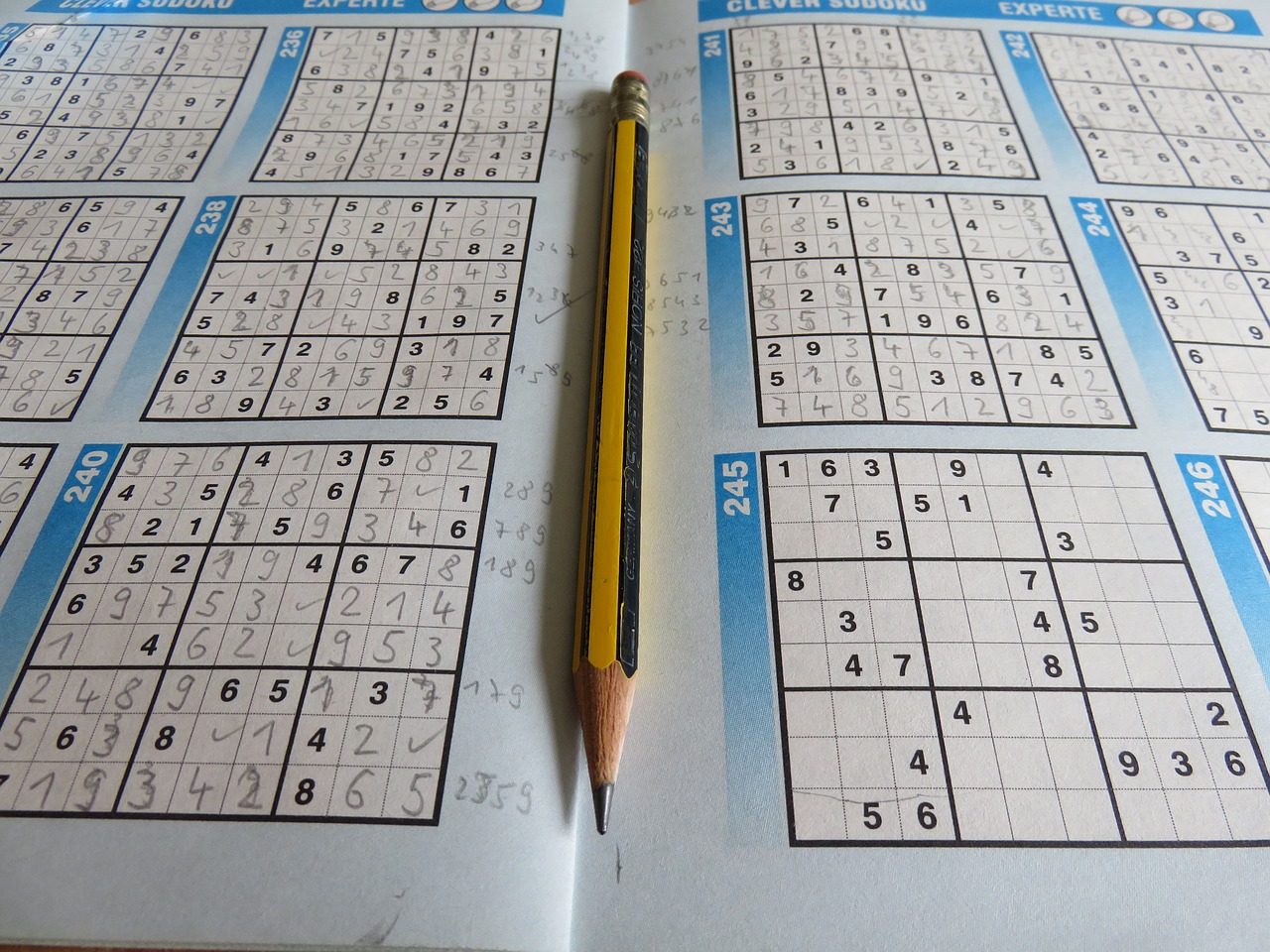 leisure  puzzles  sudoku free photo