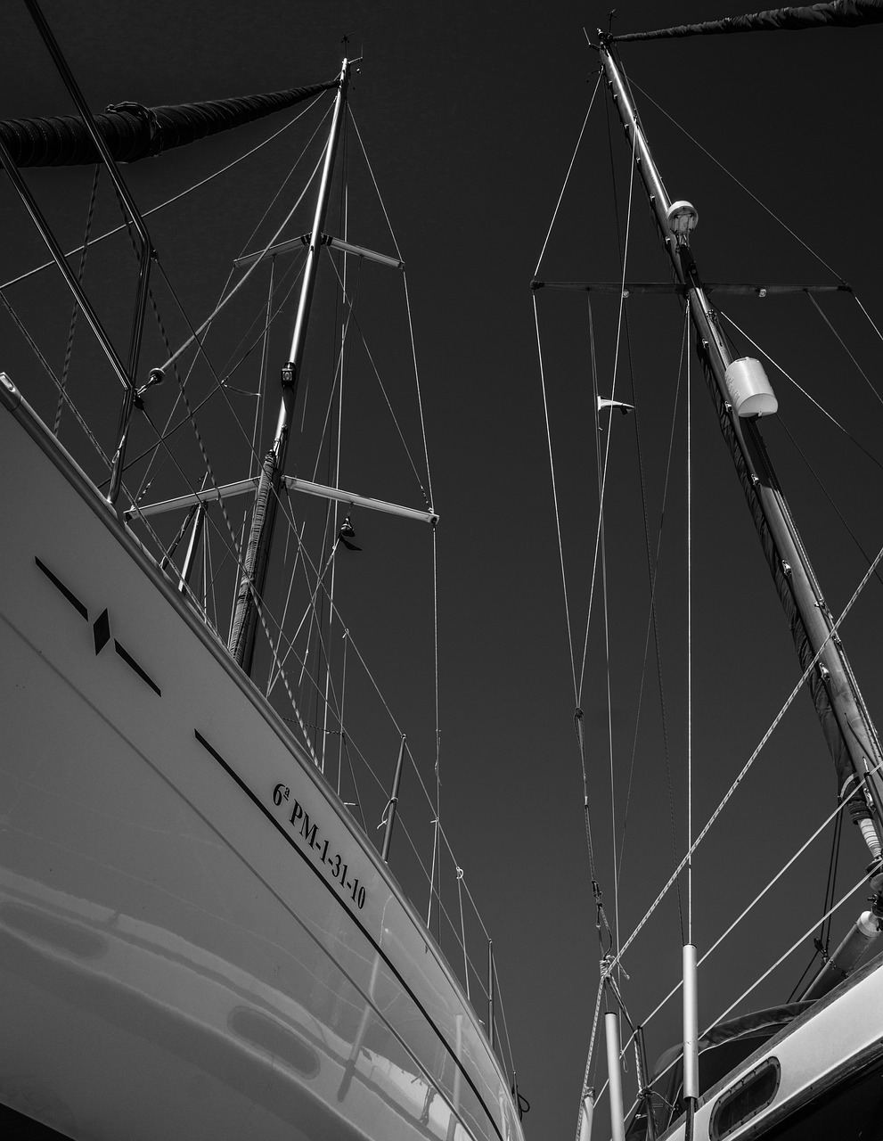 leisure  sport  sail free photo