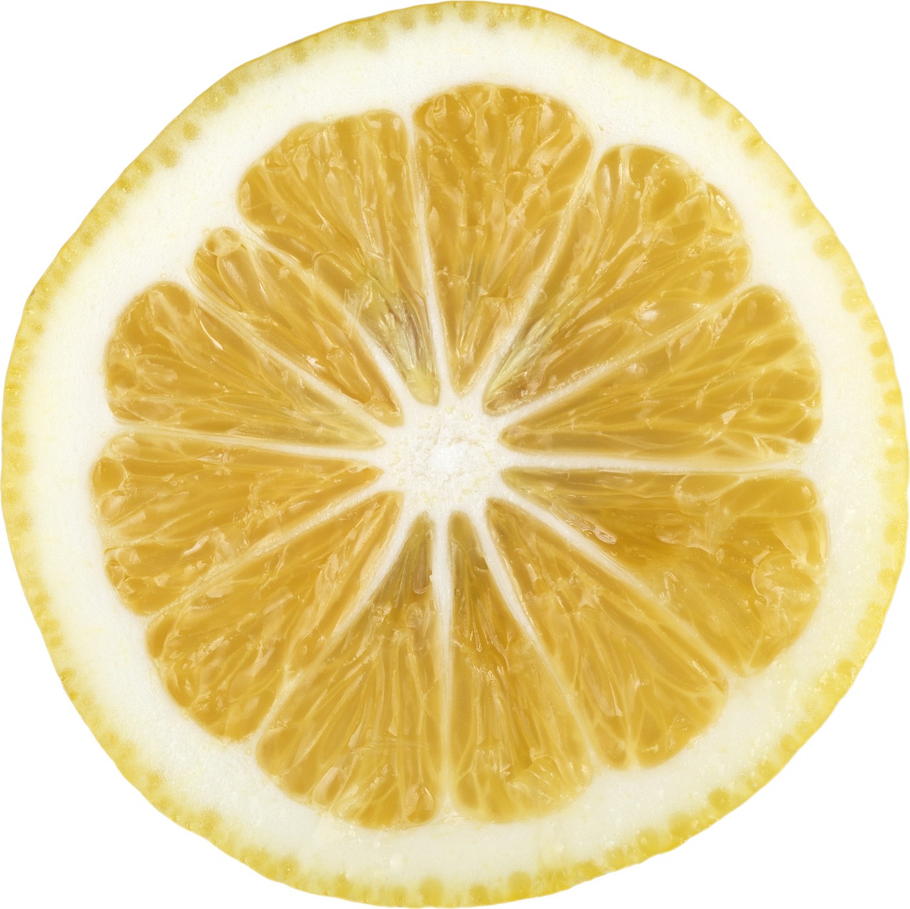 lemon lemon slice citrus free photo