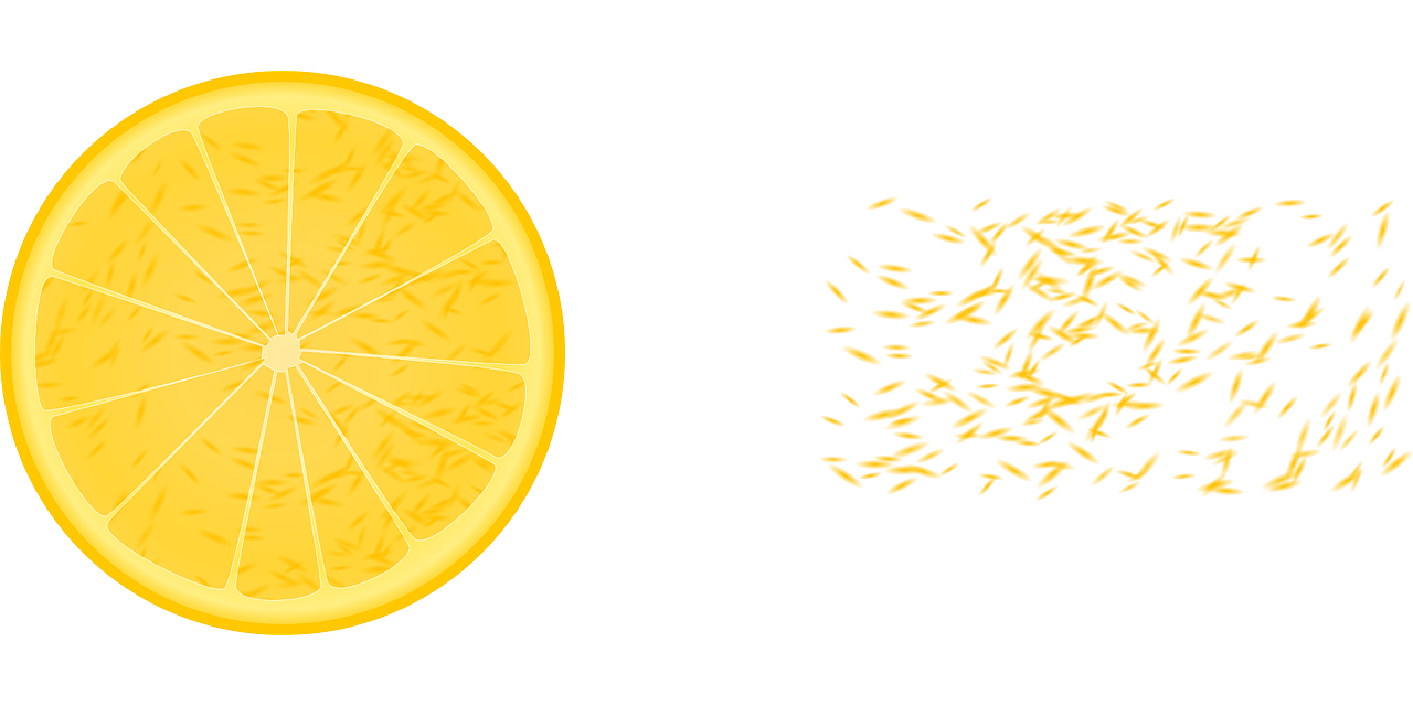 lemon citron citrus free photo