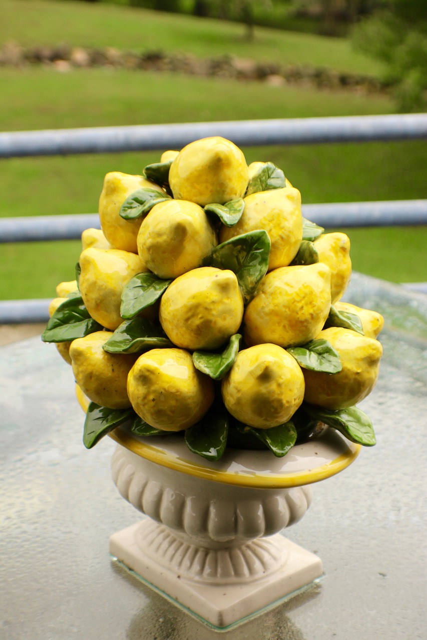 lemon vase color free photo