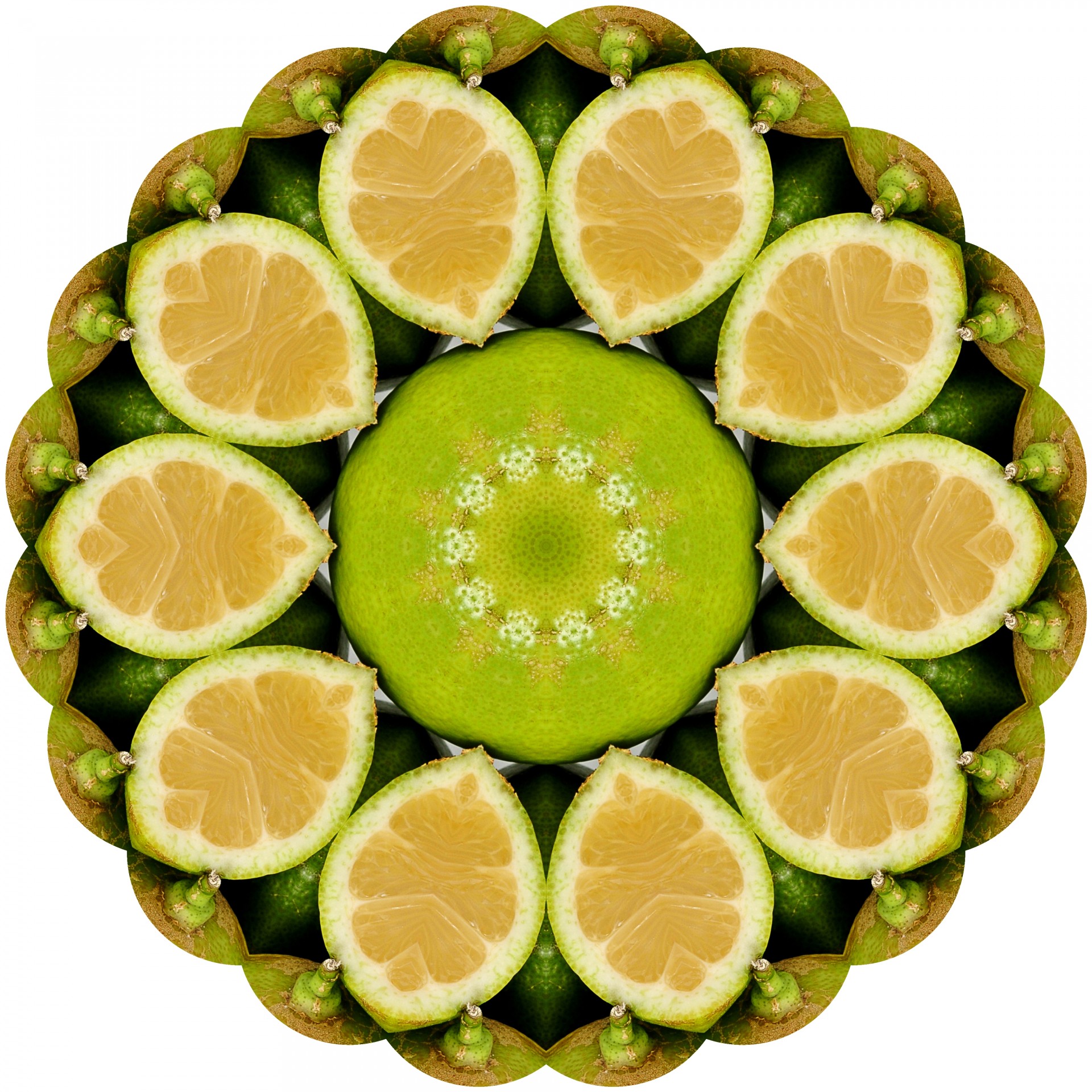 cut lemon symbol free photo