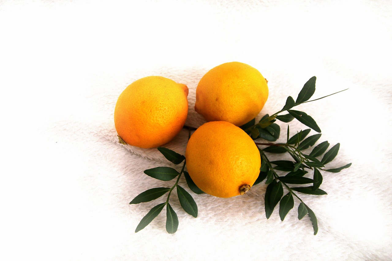 lemon lemons odor free photo