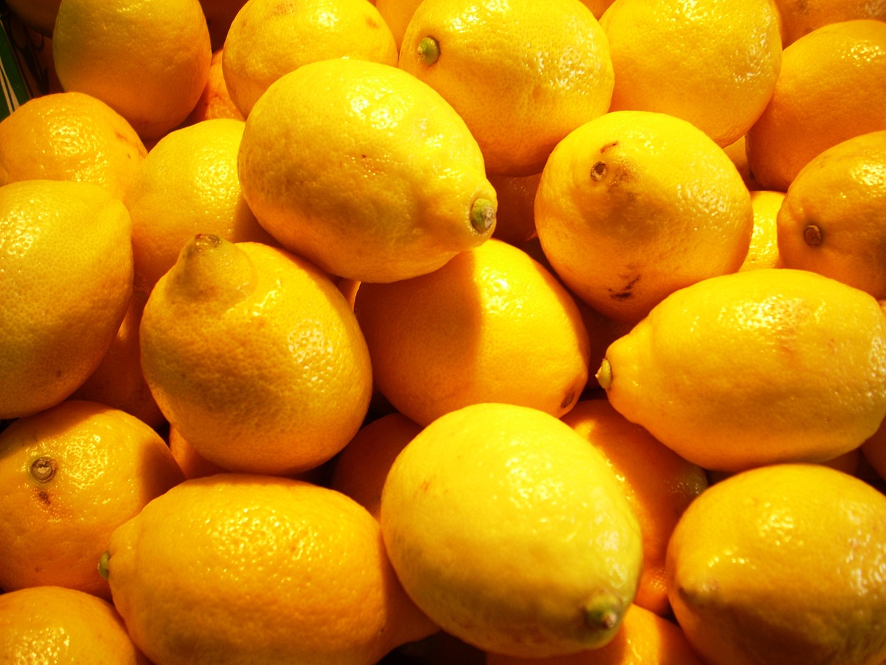 lemon lemons citrus free photo