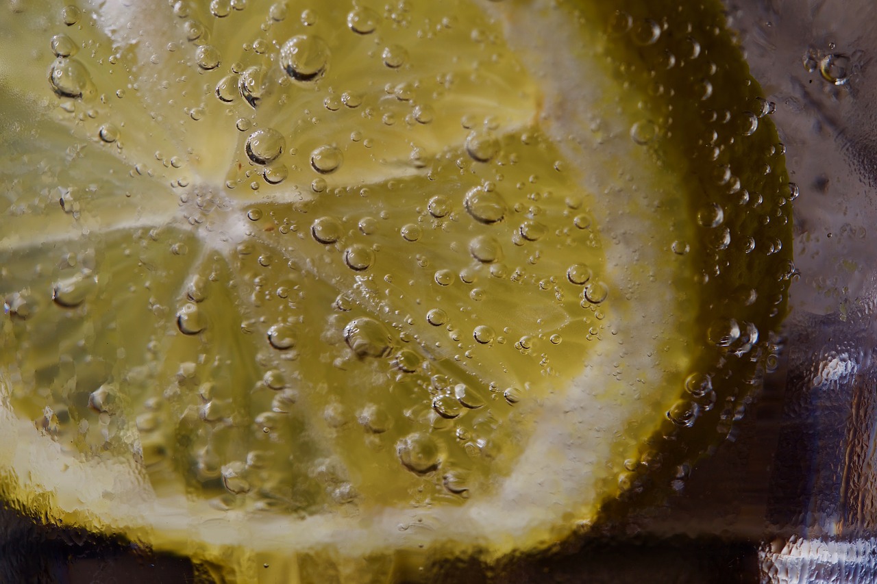 lemon gin macro free photo