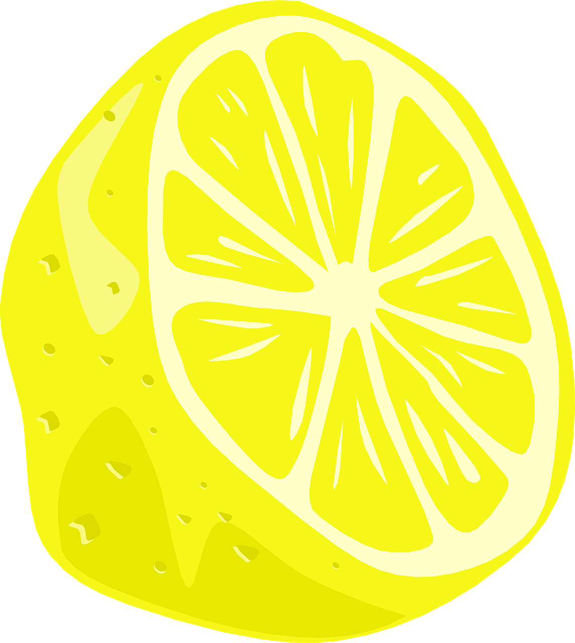 lemon half fruit free photo