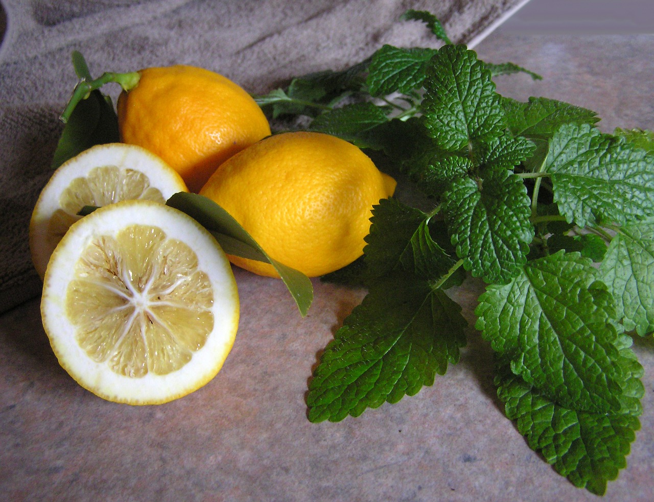 lemon and balm free photo