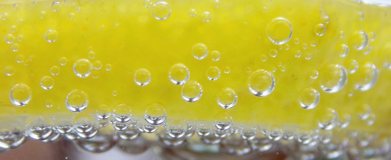 lemon bubbles cold drink free photo