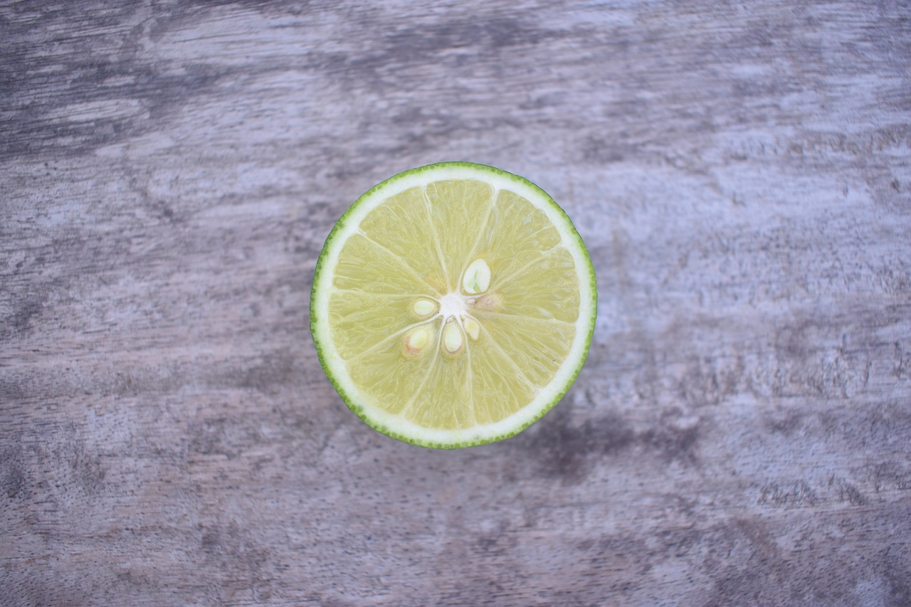 lemon fruit slice free photo