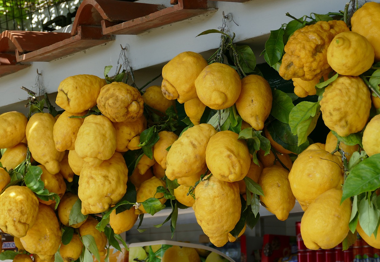 lemon italy mediterranean free photo