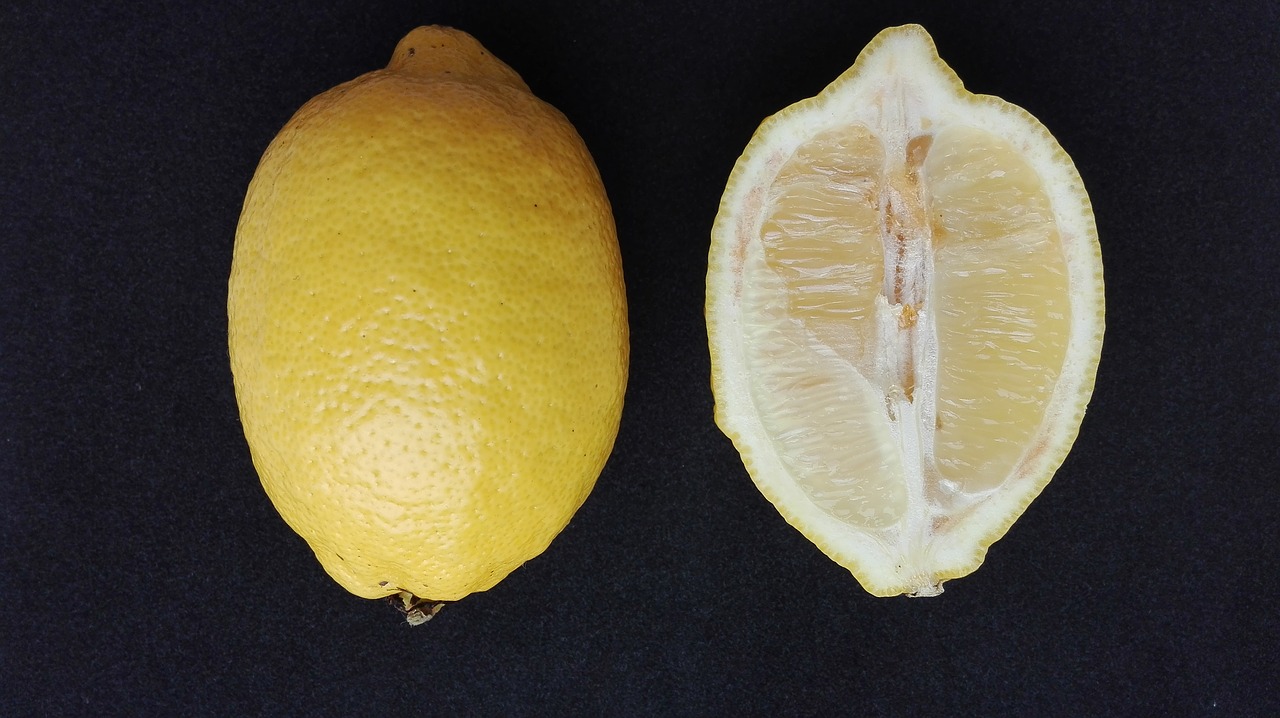 lemon citrus fruit free photo