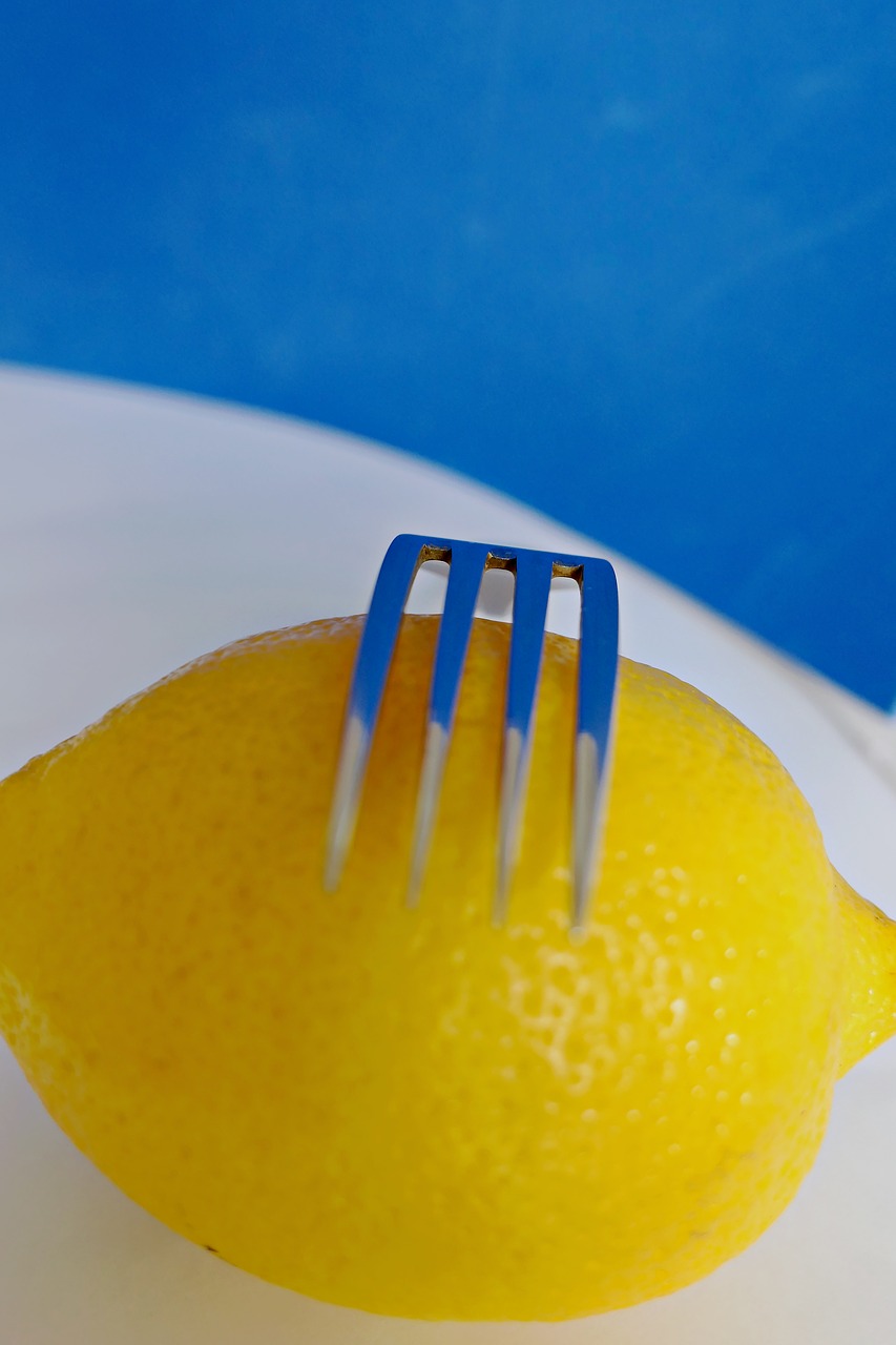 lemon fork citrus free photo