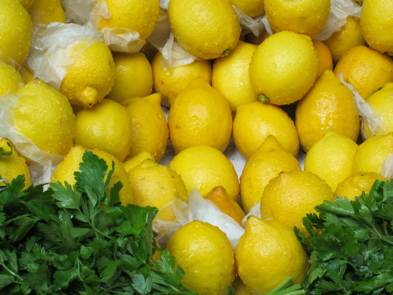 lemon citrus fruit yellow free photo