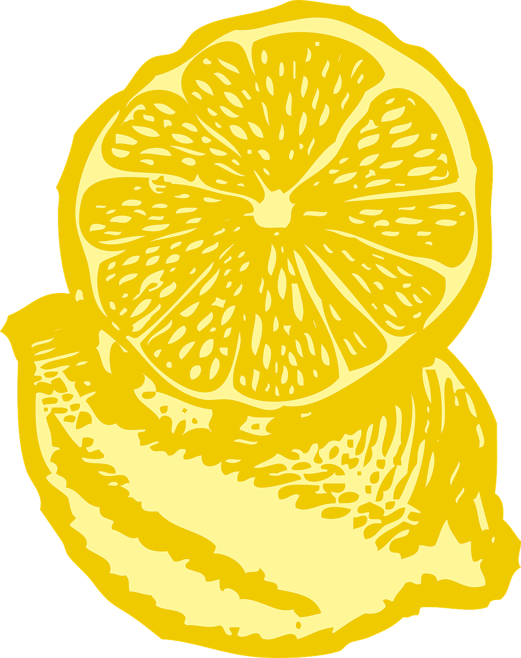lemon yellow slice free photo