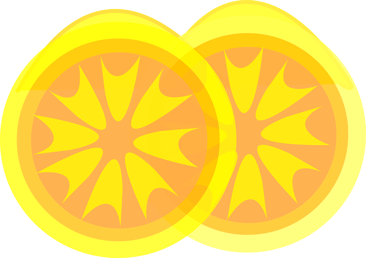 lemon slices food free photo