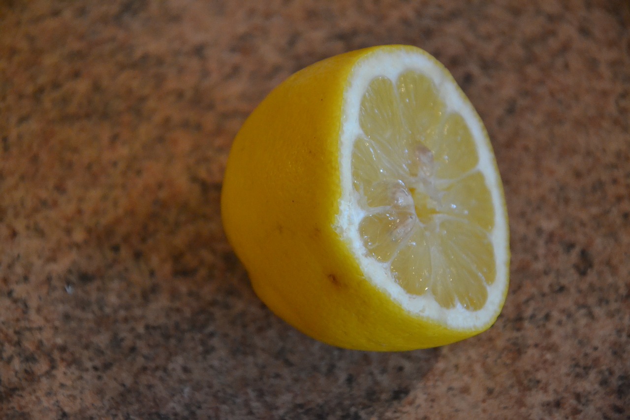 lemon butterfly goes fruit free photo