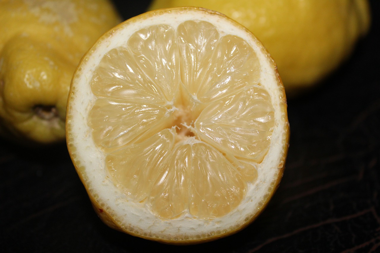 lemon  fruit  citrus fruits free photo