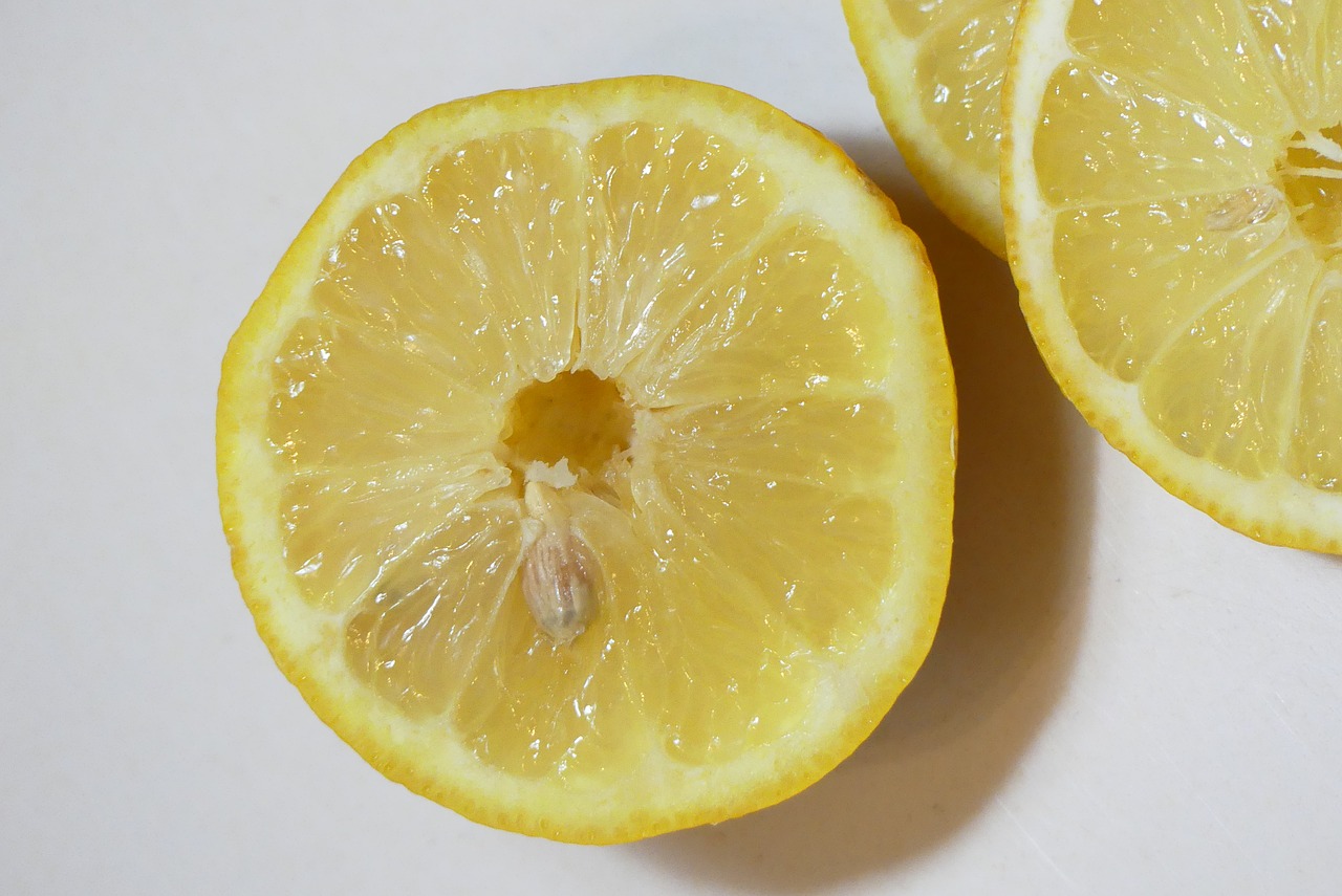 lemon  sour  yellow free photo