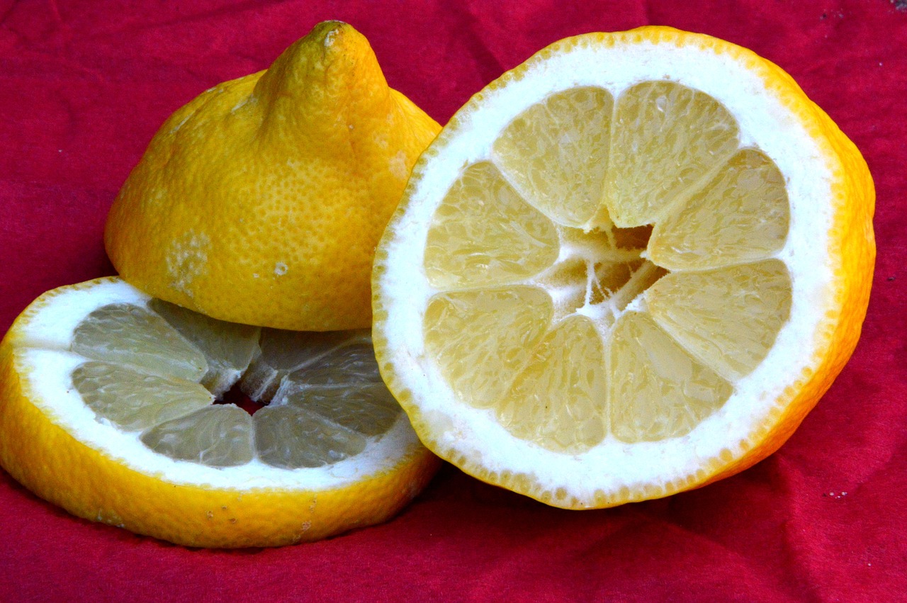 lemon  fruit  citrus fruits free photo