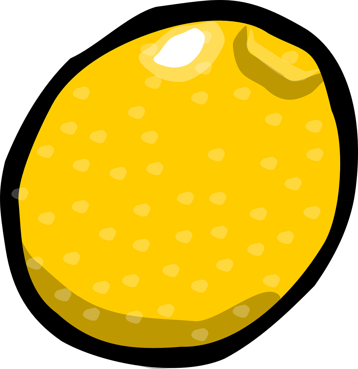 lemon fruit citrus free photo