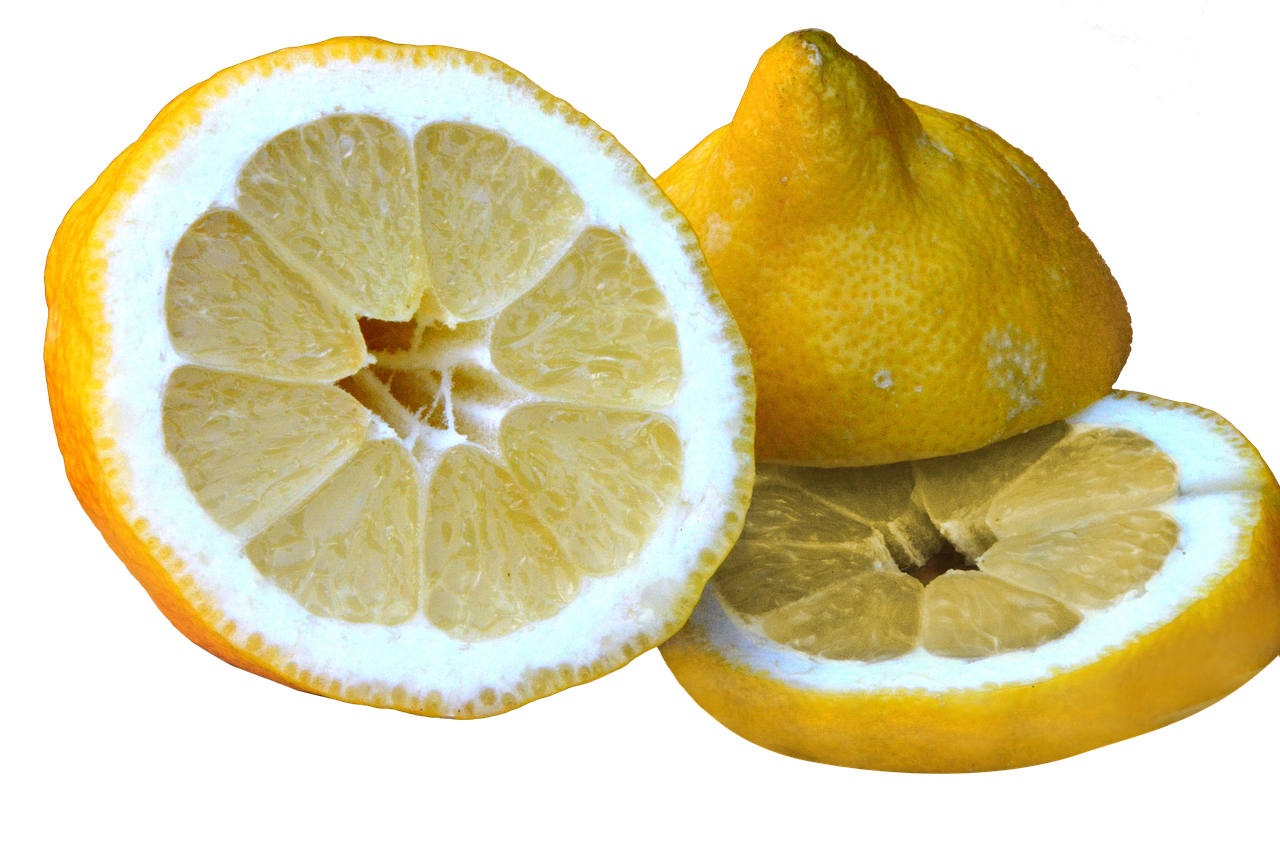 lemon  sour  sliced free photo