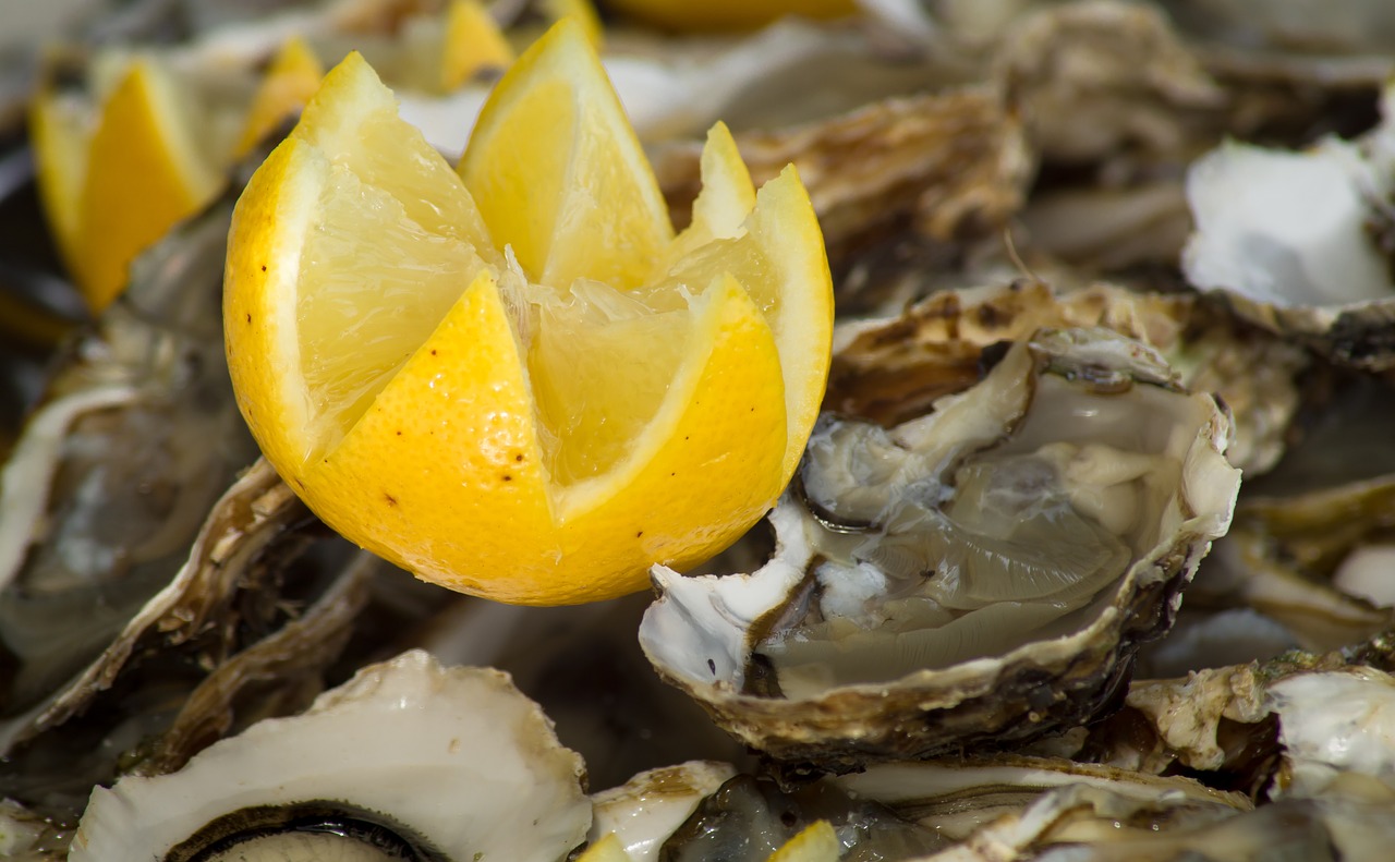 lemon  oysters  shells free photo