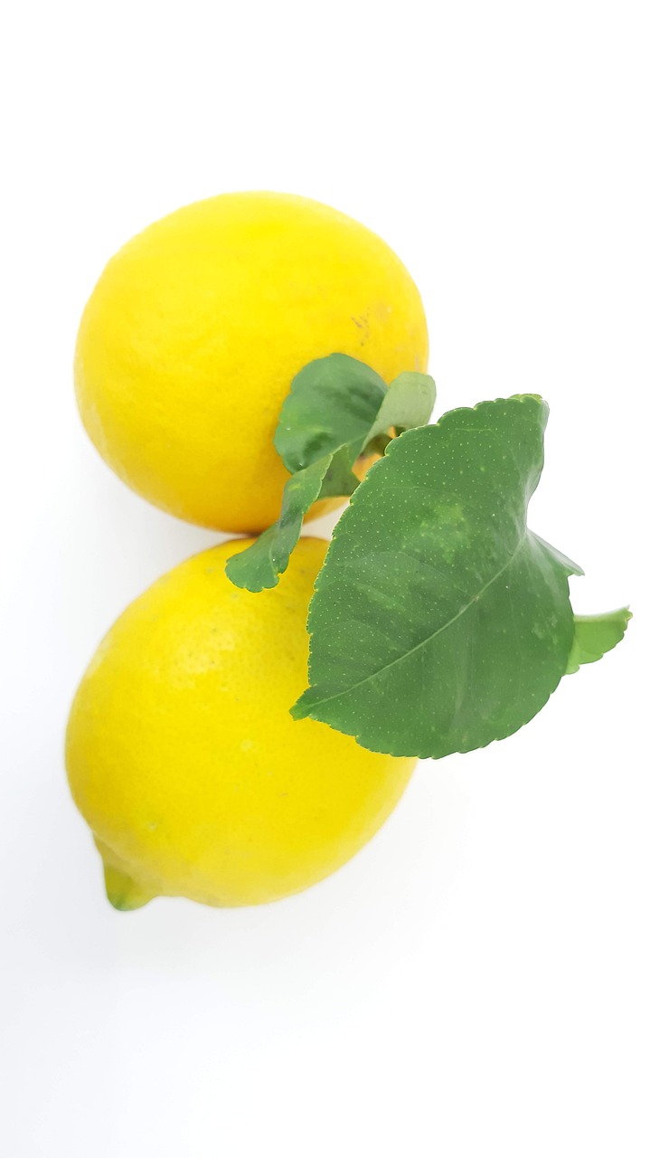 lemon  lime  fruit free photo