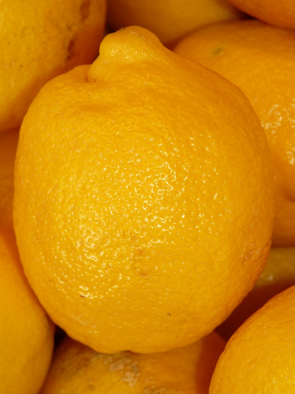 lemon sour fruity free photo