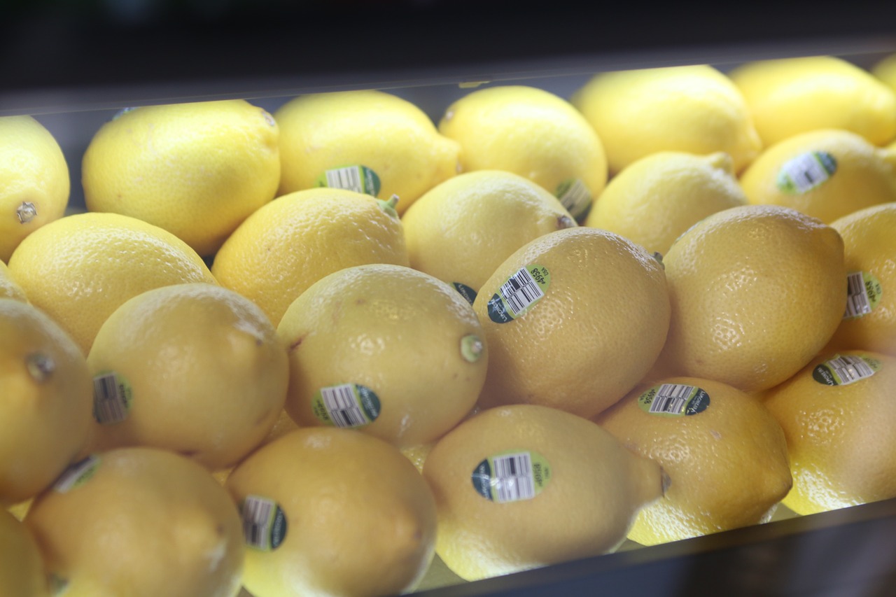 lemon exhibition built-in free photo