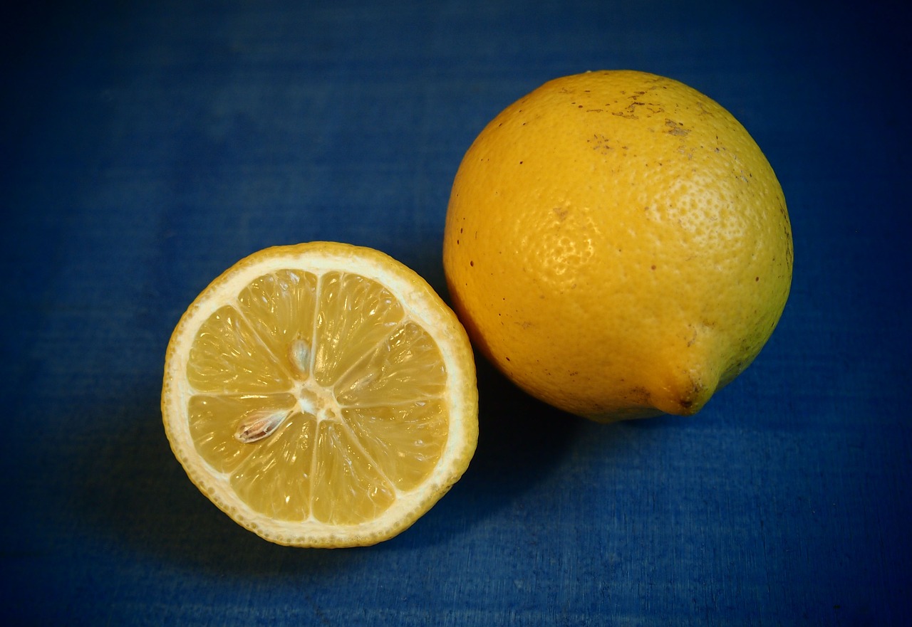 lemon slice of lemon yellow free photo