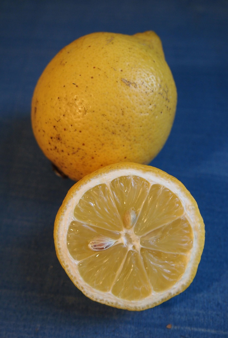lemon half of lemon sour free photo