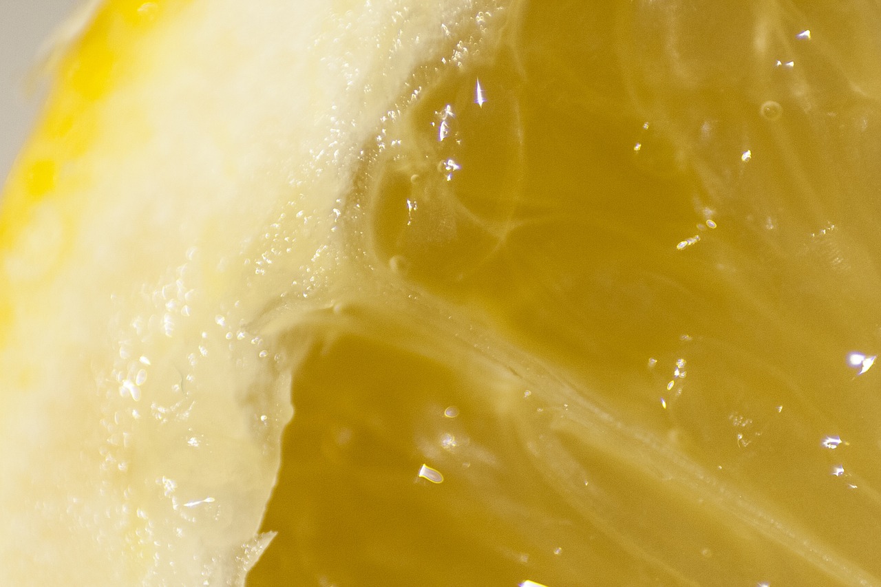 lemon closeup diet free photo
