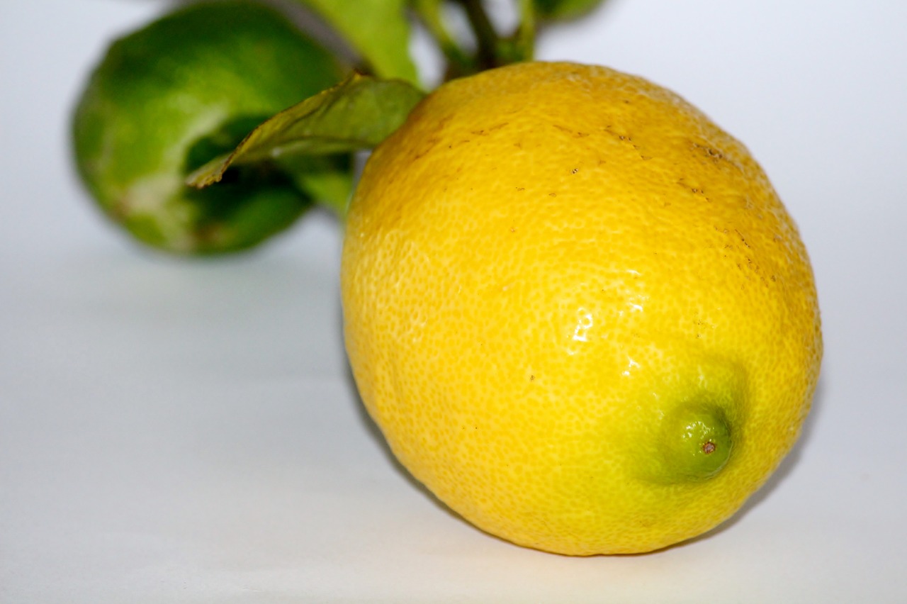 lemon yellow sour free photo