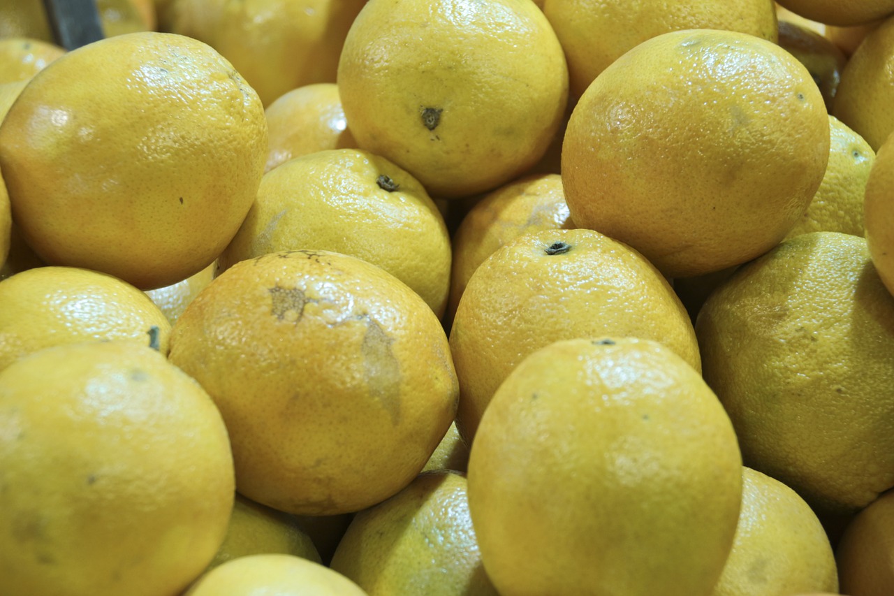 lemon sour citrus fruits free photo