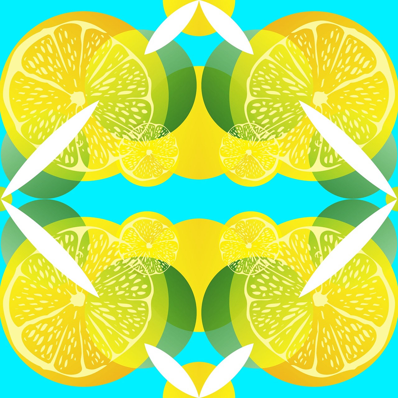 lemon lime citrus free photo