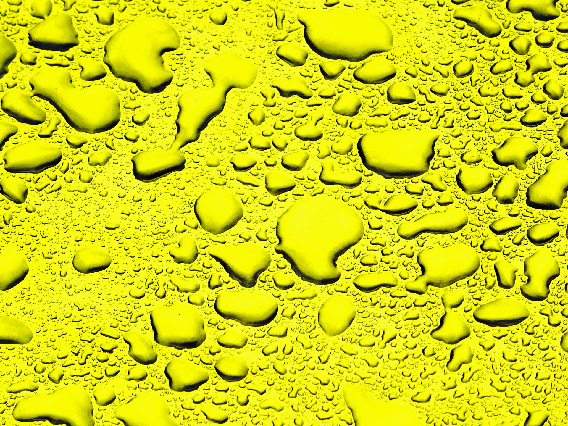 yellow green rain free photo