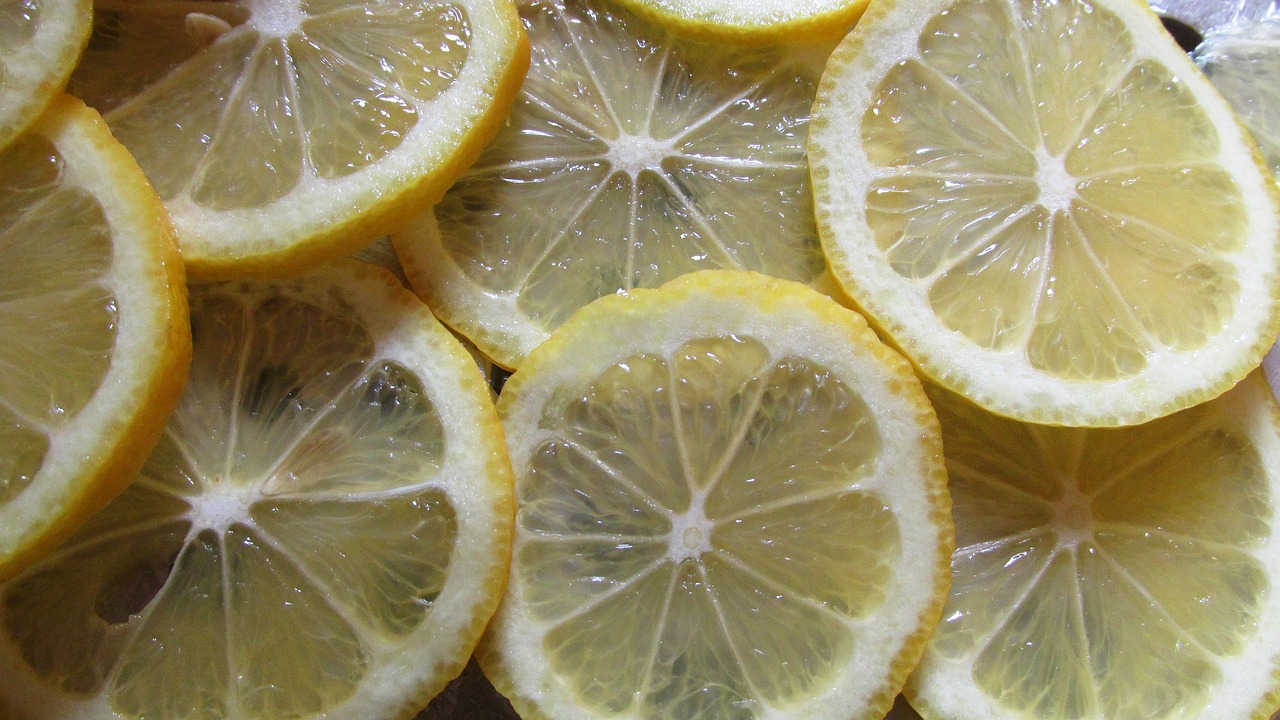 lemon slices citrus fruit free photo