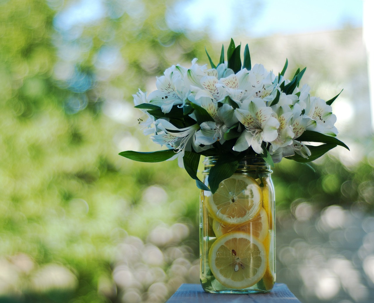 lemons bouquet flowers free photo