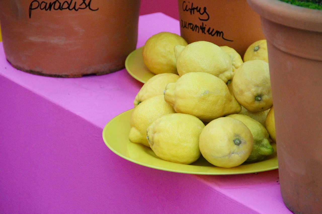 lemons zitronendeko yellow free photo