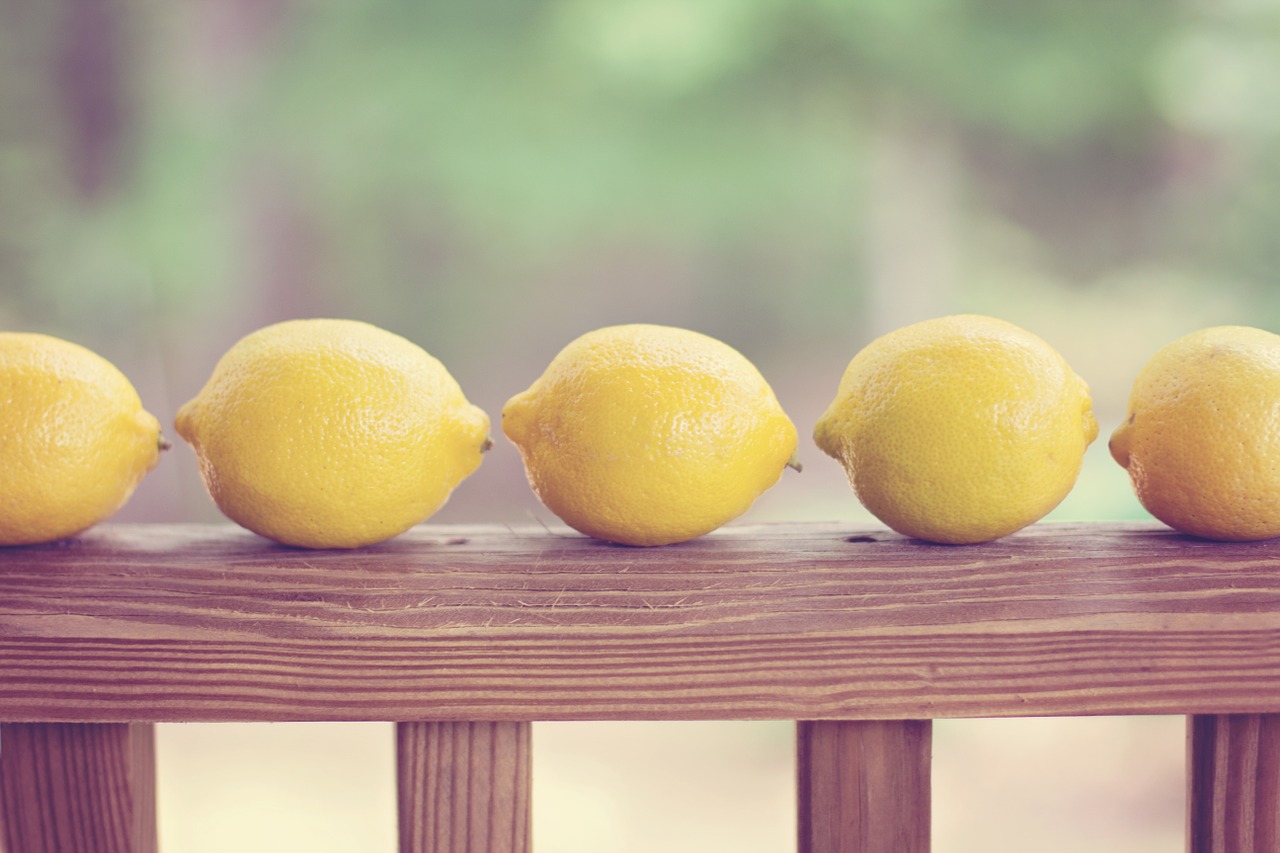 lemons yellow row free photo