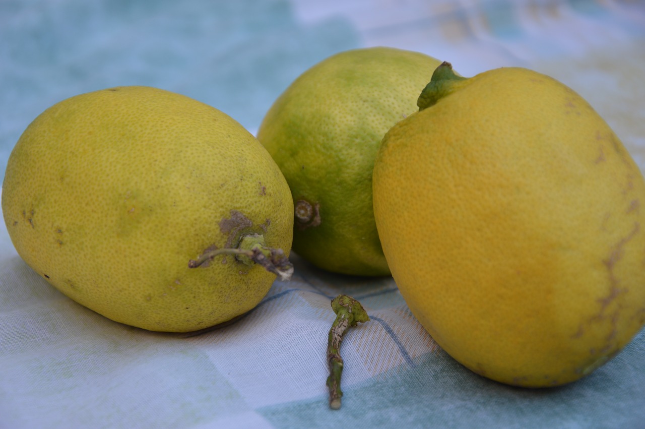 lemons fruits citrus fruits free photo