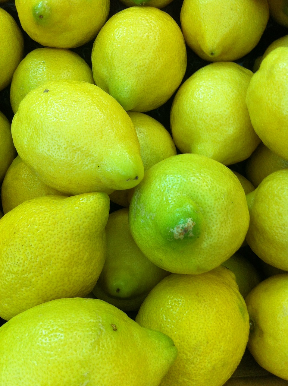 lemons fruit citrus free photo