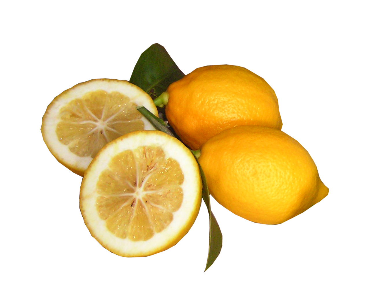 lemons cut out free photo