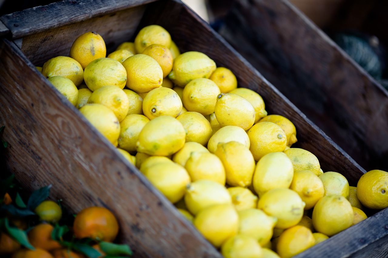 lemons fruits basket free photo