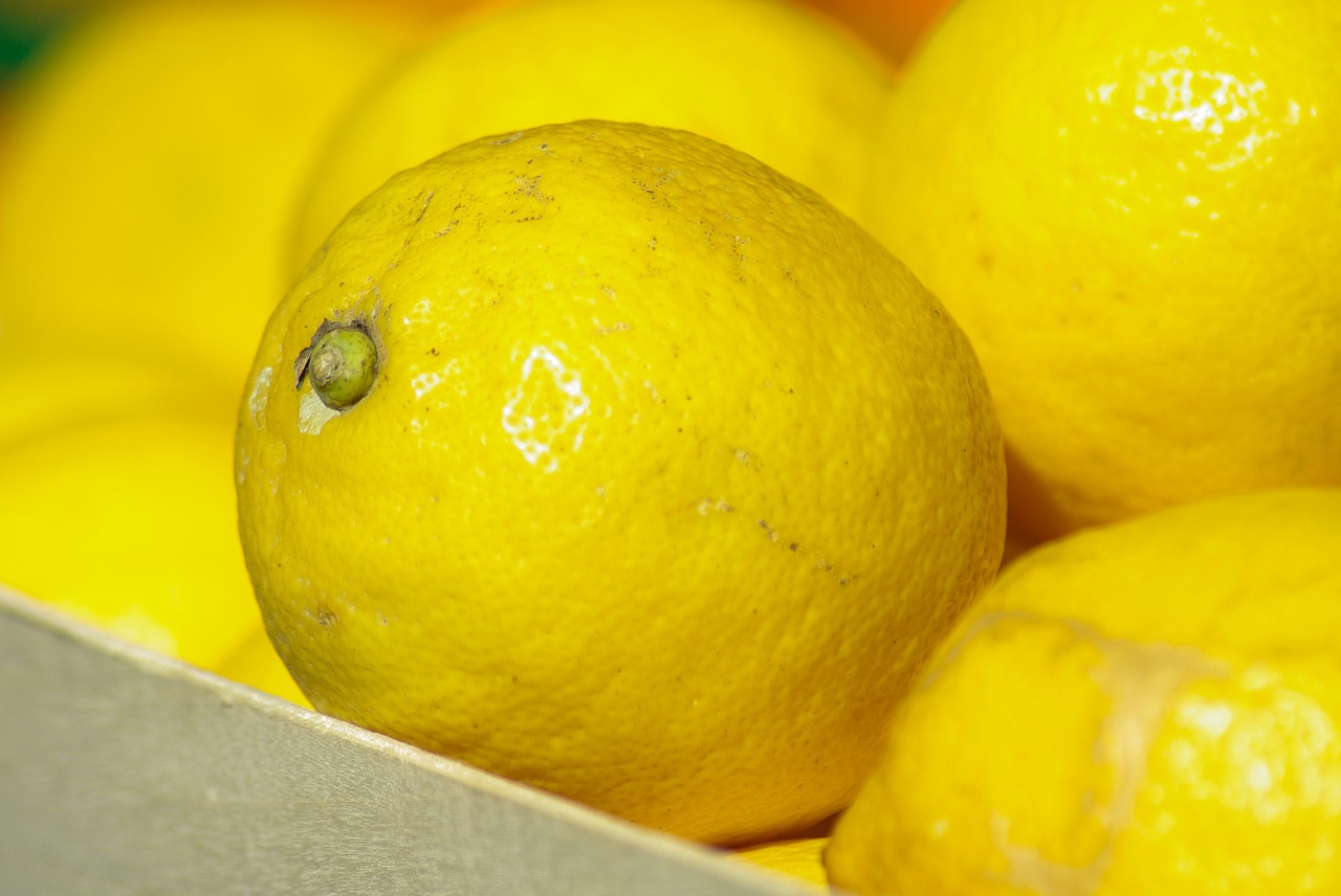 lemons citrus vitamins free photo